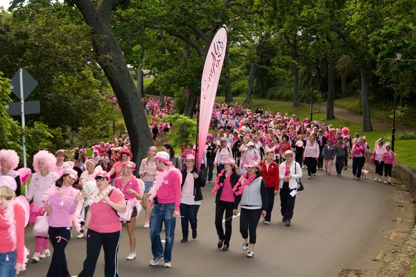 Dove Pink Star Walk